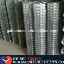 High quality galvanized welded wire mesh (direct factory)